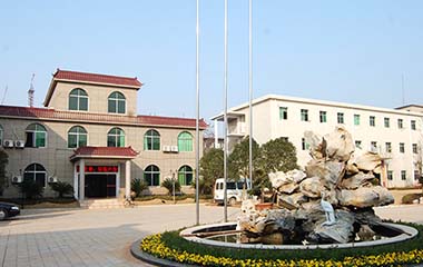 红新 红新