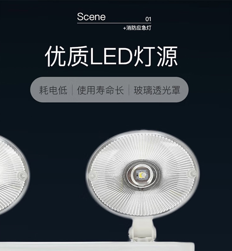 神龙LK-ZFZD-E3W-A20消防双头应急灯5.jpg